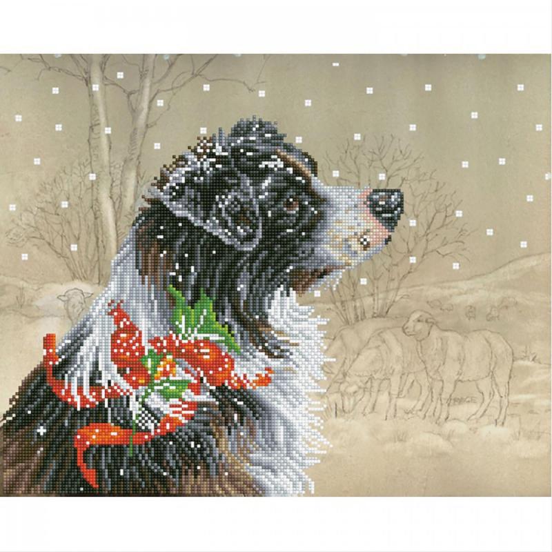 Diamond dotz, Christmas Collie, 48 x 40,60 cm