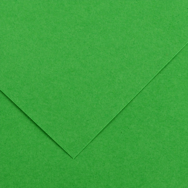 Farebný výkres Canson Colorline 50x65 cm, 150g , BRIGHT GREEN
