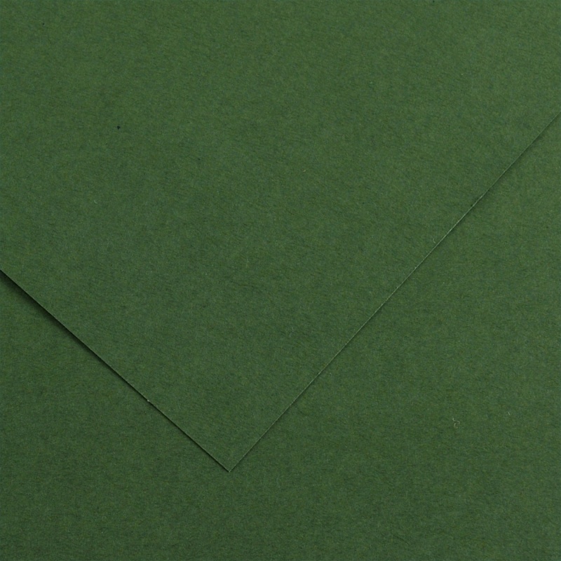 Farebný výkres Canson Colorline 50x65 cm, 150g , FIR TREE