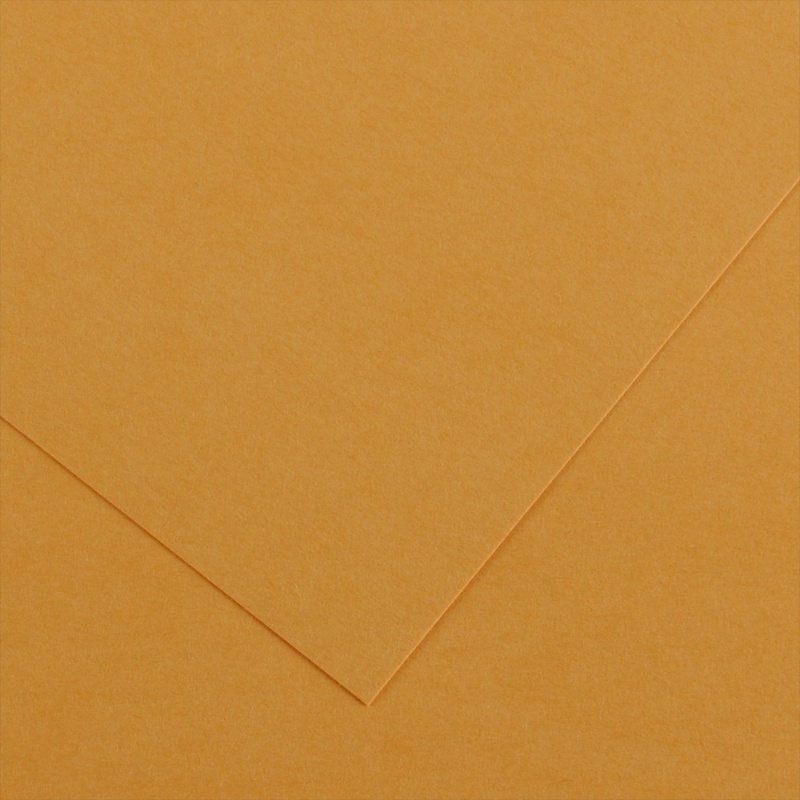 Farebný výkres Canson Colorline 50x65 cm, 150g , LEATHER
