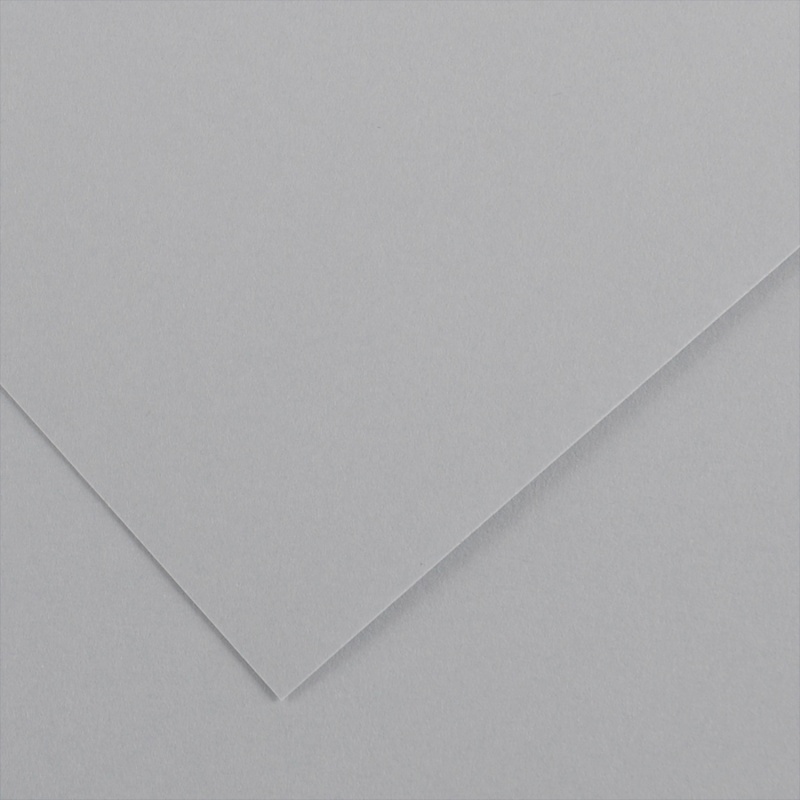 Farebný výkres Canson Colorline 50x65 cm, 150g , LIGHT GREY