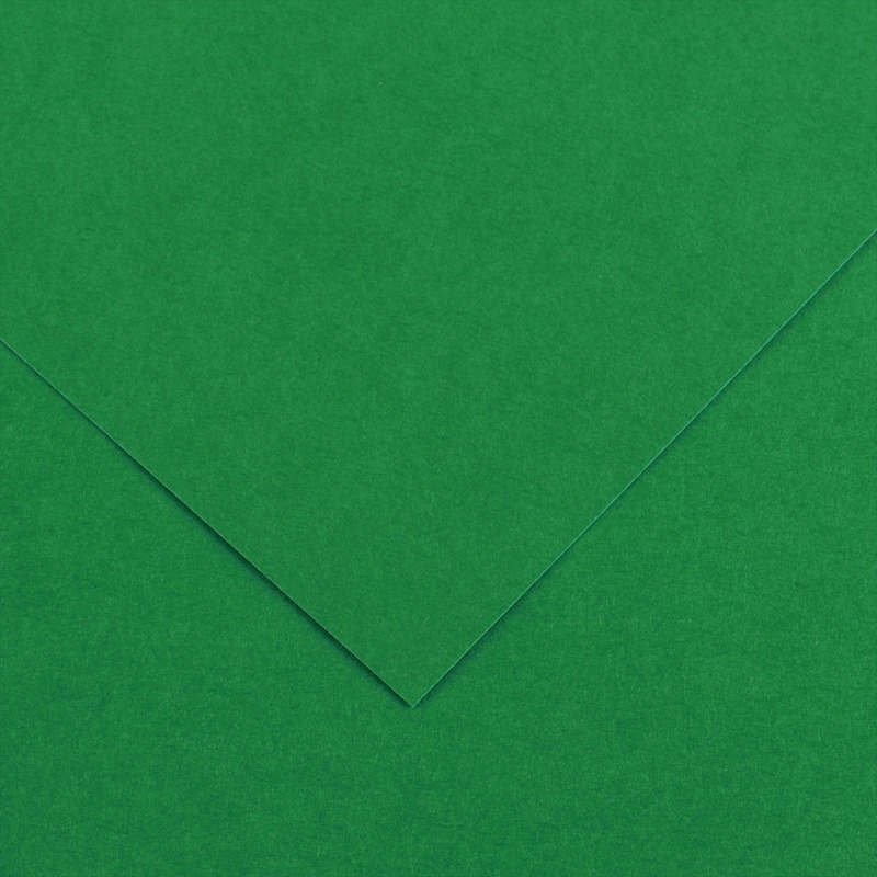 Farebný výkres Canson Colorline 50x65 cm, 150g , MOSS GREEN