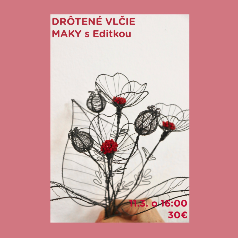Workshop, Drôtené vlčie maky, 11. 3. 2026 - 16:00