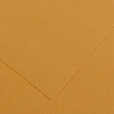 Farebný výkres Canson Colorline 50x65 cm, 150g , LEATHER