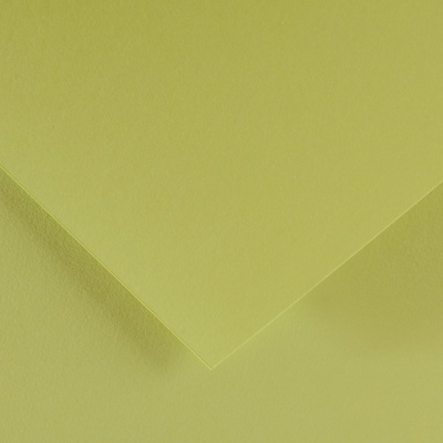 Farebný výkres Canson Colorline 50x65 cm, 150g , LIME GREEN