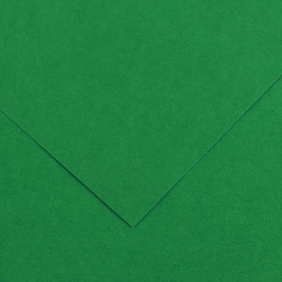 Farebný výkres Canson Colorline 50x65 cm, 150g , MOSS GREEN