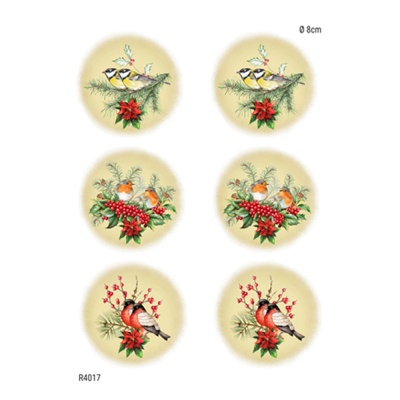 Ryžový papier, A4, medailónky s vtákmi
