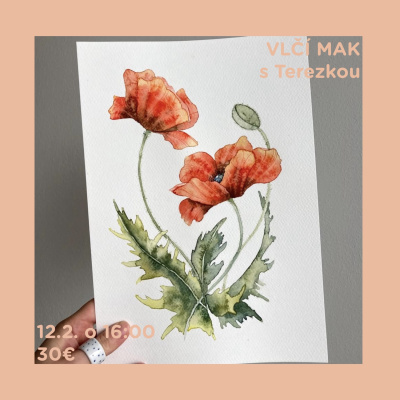 Workshop, Akvarel - Vlčí mak, 12. 2. 2026 - 16:00