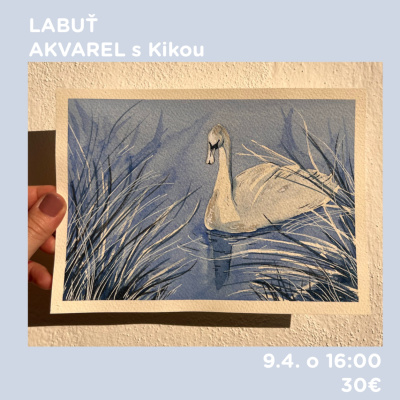 Workshop, Labuť - akvarel, 9. 4. 2026 - 16:00