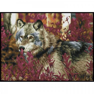Diamond dotz, Autumn wolf + rám, 57 x 42 cm