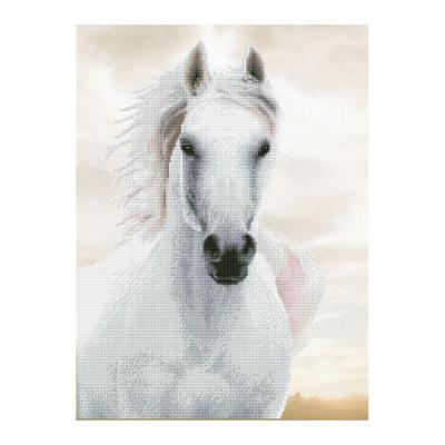 Diamond dotz, Imperial Stallion, 65 x 48 cm