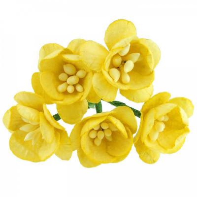 Papierový kvet čerešňa, 25 mm, žltá 5 ks