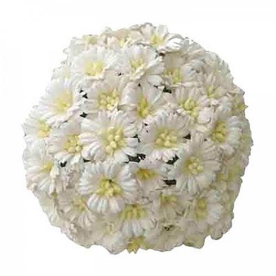 Papierový kvet daisy, 25 mm, biela 5 ks