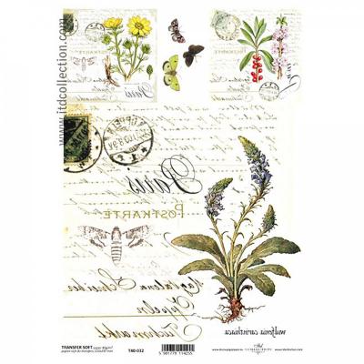 Transferový papier SOFT, A4, pohľadnica bylinky 12