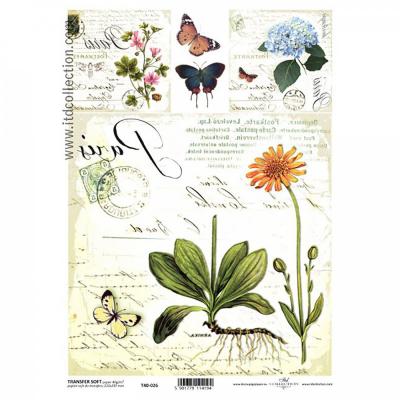 Transferový papier SOFT, A4, pohľadnica bylinky 6