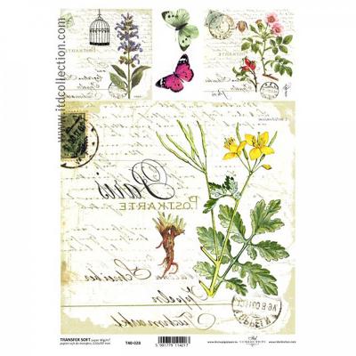 Transferový papier SOFT, A4, pohľadnica bylinky 8