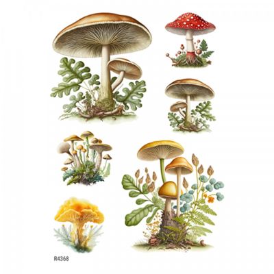Ryžový papier, A4, lesné hríby