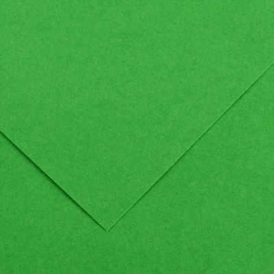 Farebný výkres Canson Colorline 50x65 cm, 150g , BRIGHT GREEN