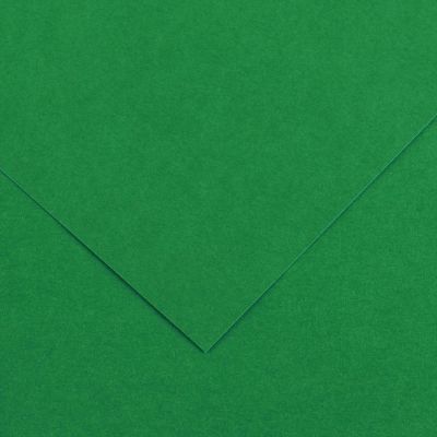 Farebný výkres Canson Colorline 50x65 cm, 150g , MOSS GREEN