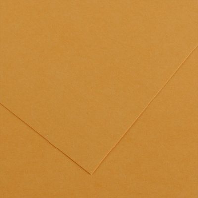 Farebný výkres Canson Colorline 50x65 cm, 150g , LEATHER