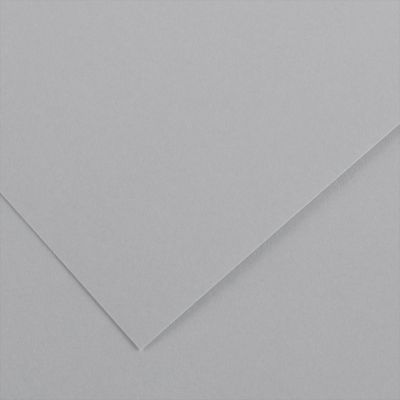 Farebný výkres Canson Colorline 50x65 cm, 150g , LIGHT GREY