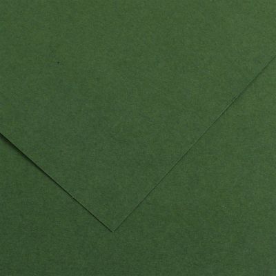 Farebný výkres Canson Colorline 50x65 cm, 150g , FIR TREE