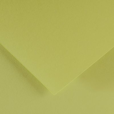 Farebný výkres Canson Colorline 50x65 cm, 150g , LIME GREEN
